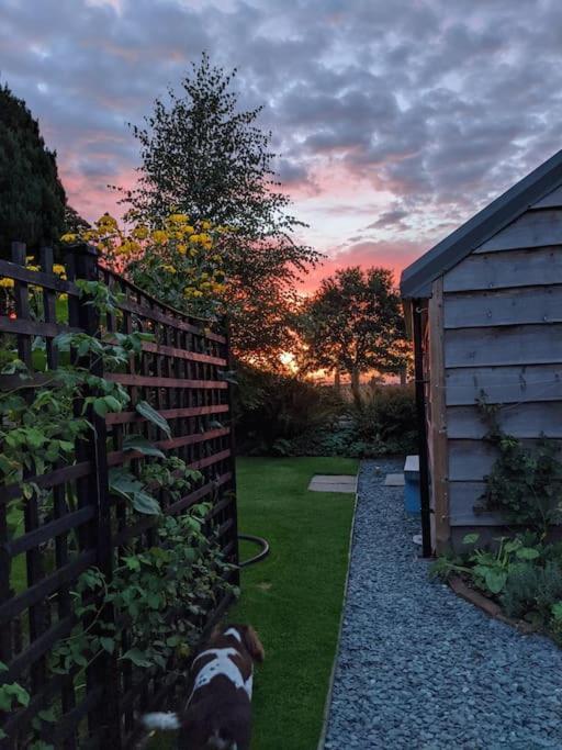 La'Al Cabin, Tiny Home, Unique Space Eden Valley Cumbria Brampton  Exteriér fotografie